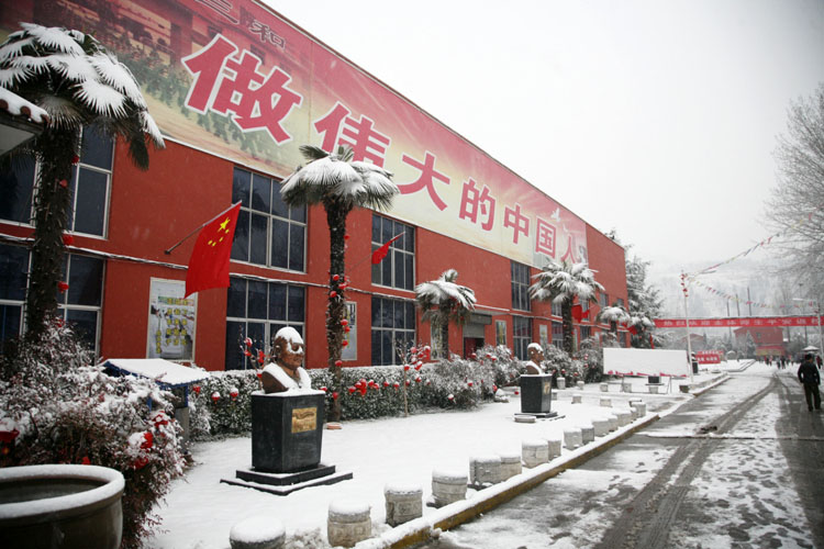 瑞雪临杏鑫 校园添姿彩